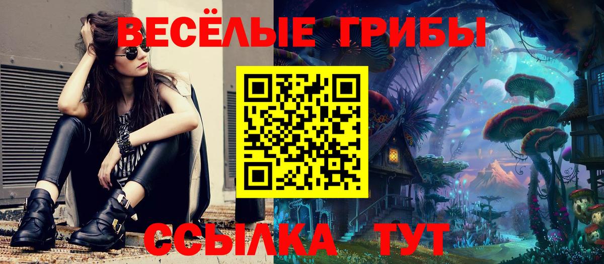 наркотики  Галлюциногенные грибы GOLDEN TEACHER  Вход с VPN  Нижнеудинск 
